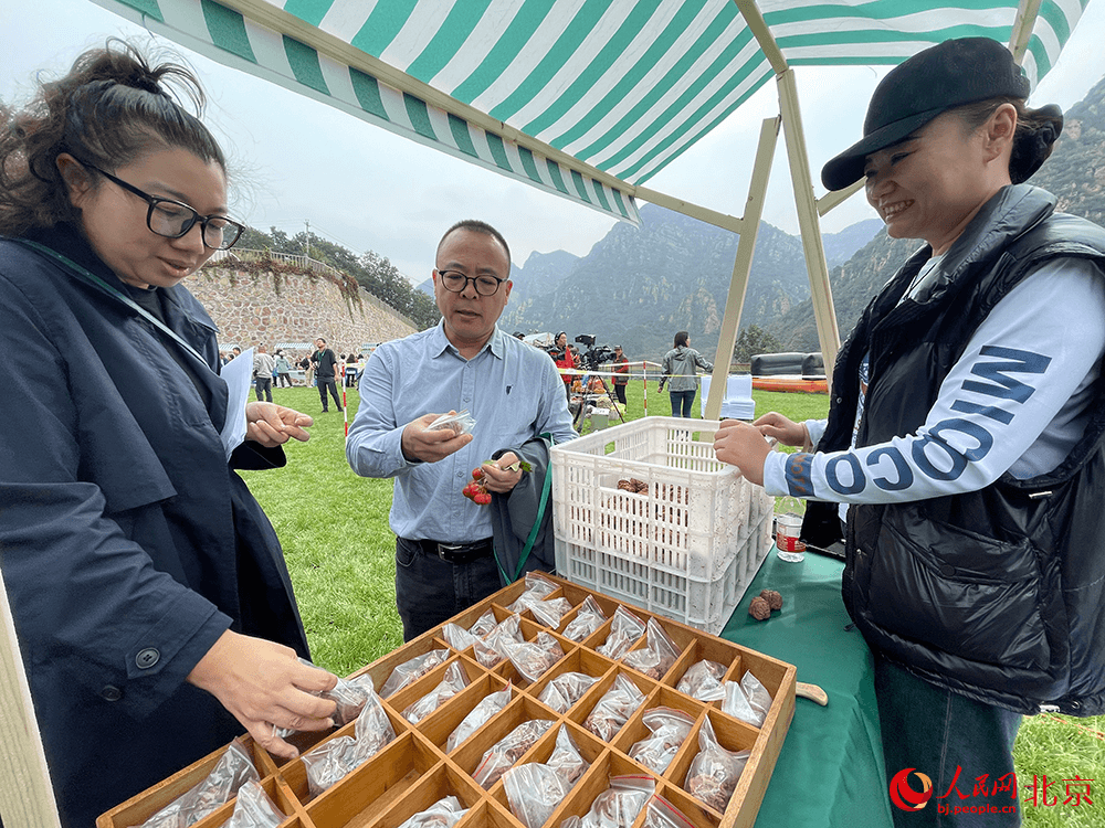 北京平谷举办文玩核桃品鉴季 探索乡村振兴发展新路径