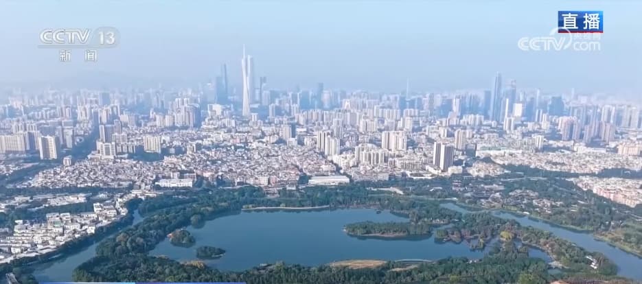 赏一片花海 邂逅春日浪漫 解锁一场春天里的闲适之旅