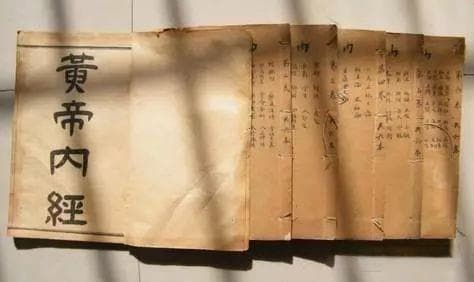从《黄帝内经》解析三焦的功能和结构