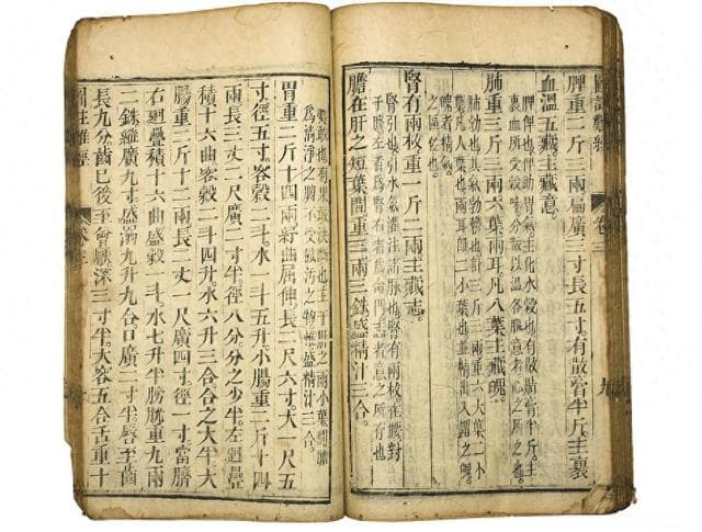 明朝的常用语音是什么：《洪武正韵》和利玛窦拼音
