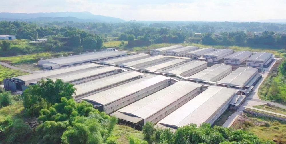 重庆农商行：畜禽活体做抵押 以金融创新助力城乡融合乡村振兴示范区建设