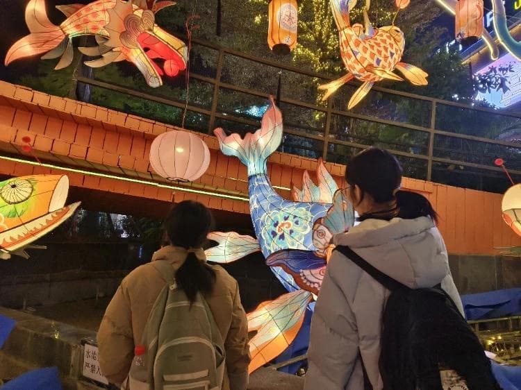 华灯映古韵 南宁展新姿——广西师范大学“华灯古韵”团队南宁花灯探索之旅