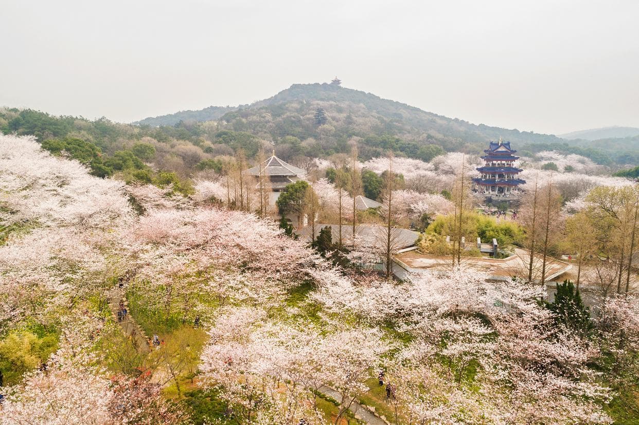 冬日探秘超山风景区，品味地方美食之旅