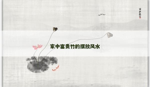家中富贵竹的摆放风水