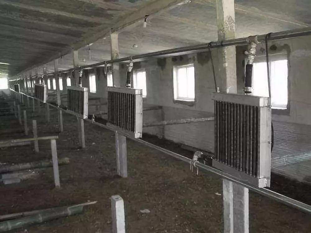 冬季养鸡场环控思路和通风、保温的协调办法