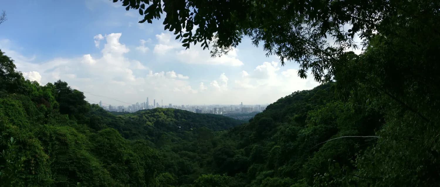 梧桐山村新手徒步攻略：避开坑！