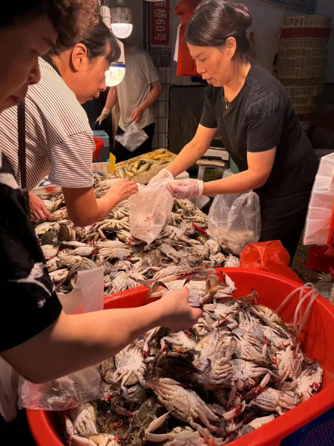 价格暴跌！85元/斤→25元/斤，台州人超爱的这一口，正大量上市！