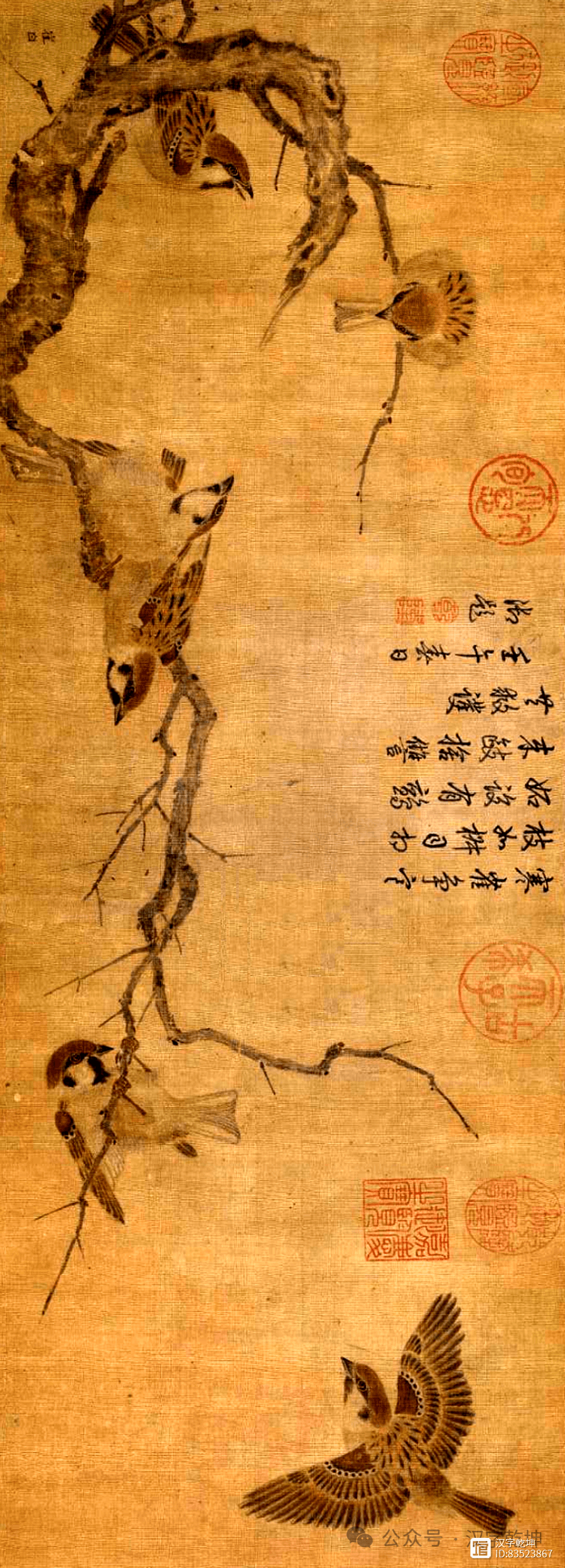 宋朝麻雀长啥样？让二幅800多年的古画来告诉你！