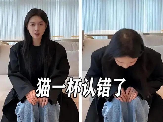 2024年度十大危机公关盘点：从网红塌房到AI造假，公关行业面临的挑战与应对