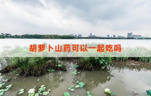 胡萝卜山药可以一起吃吗？ 探究胡萝卜与山药的相容性