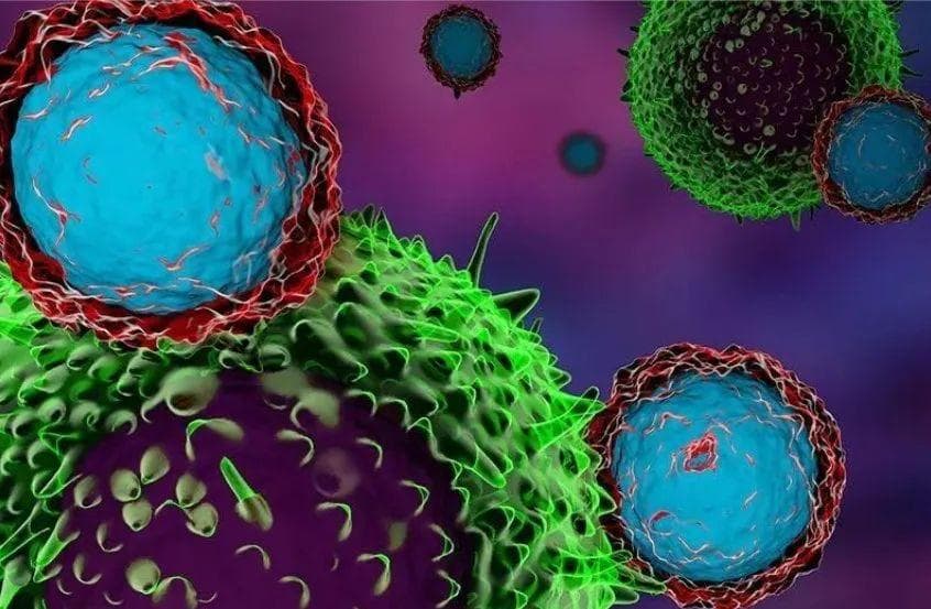 上海交大研究发现：血清新生物标志物可预测肺癌免疫治疗效果