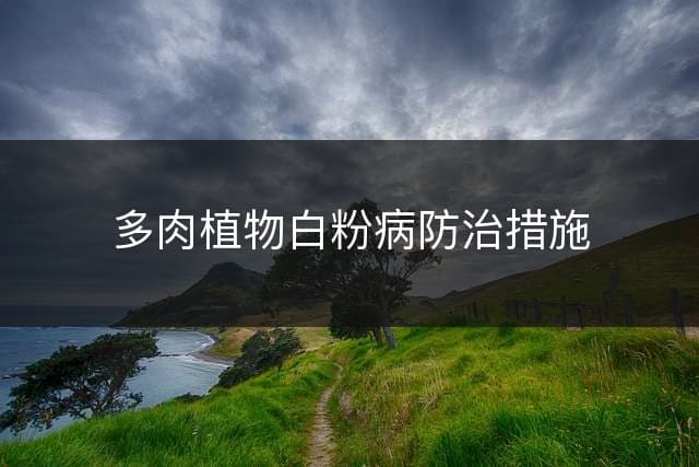 多肉植物白粉病防治指南