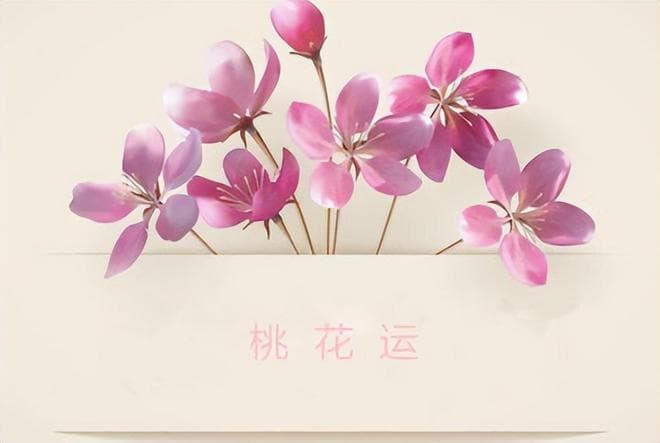 八字命理中的“咸池”与“华盖”：传统观念的现代解读