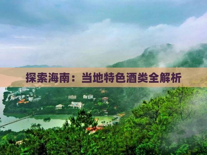 海南酒文化全攻略：从传统椰子酒到现代果酒
