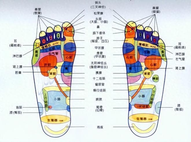 涌泉穴：简单养生法，助你改善失眠、调节血压