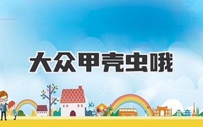 怀旧与时尚的碰撞：大众甲壳虫，经典魅力永存