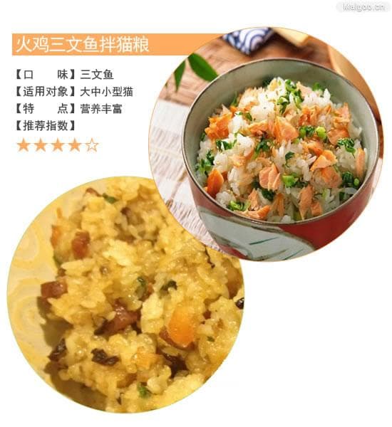 猫咪营养餐轻松DIY 教你自己动手