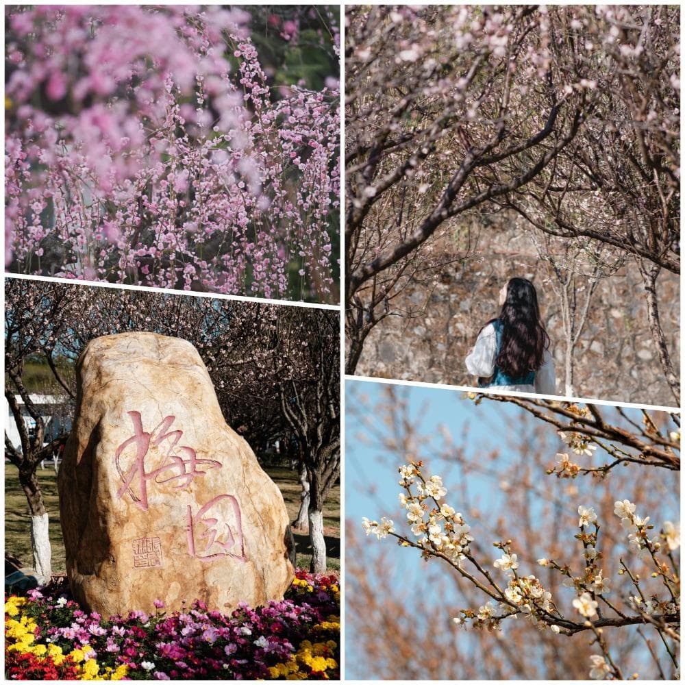 哈尔滨冬季旅游攻略：五大特色雪人打卡点