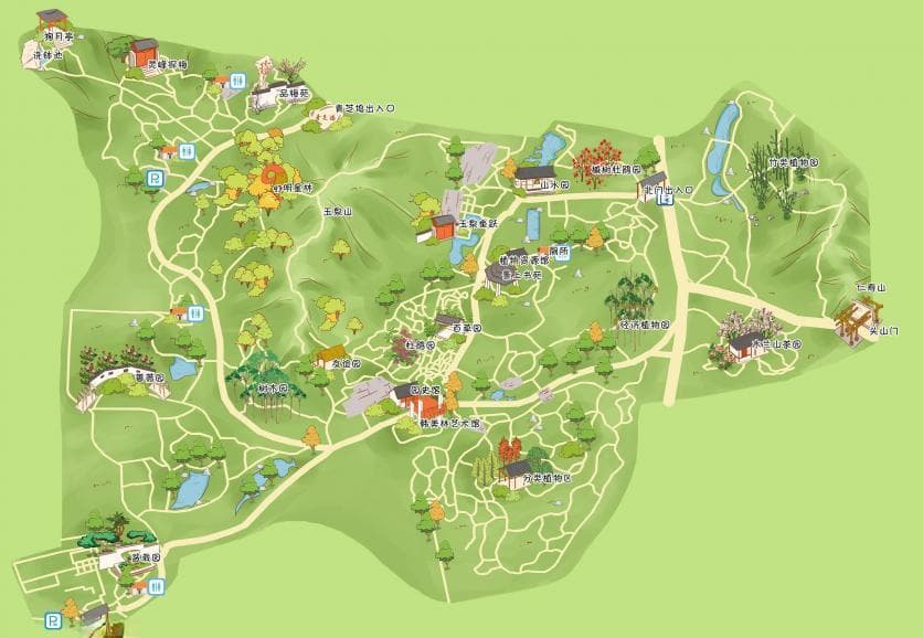 杭州植物园：AAAA级景区，284.64公顷的植物王国