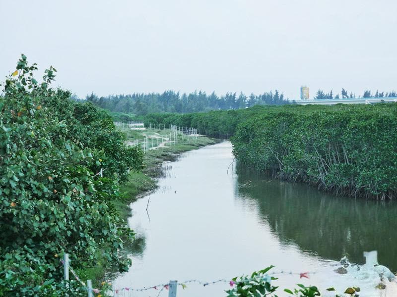 海口北港村：传统渔村蝶变旅游热门地