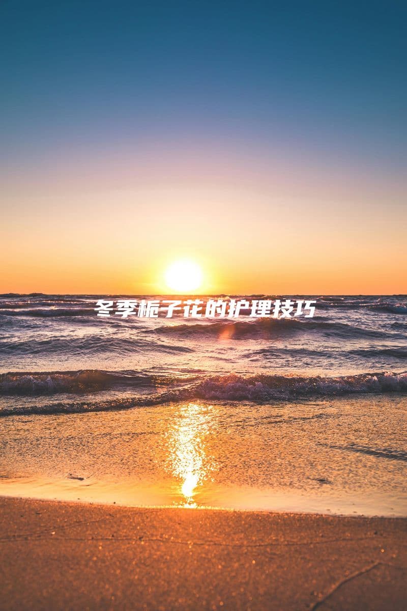 冬季栀子花养护指南：光照、温度与浇水要点