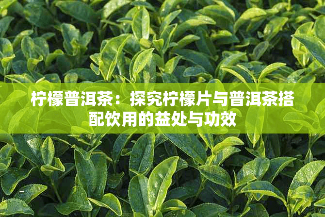 柠檬普洱茶：探究柠檬片与普洱茶搭配饮用的益处与功效
