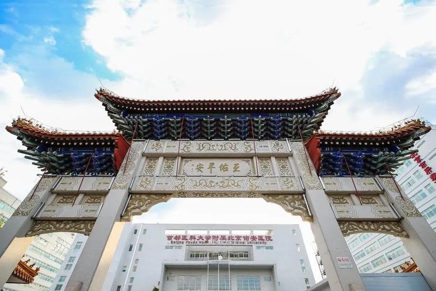 肠道健康：人体的“第二大脑”