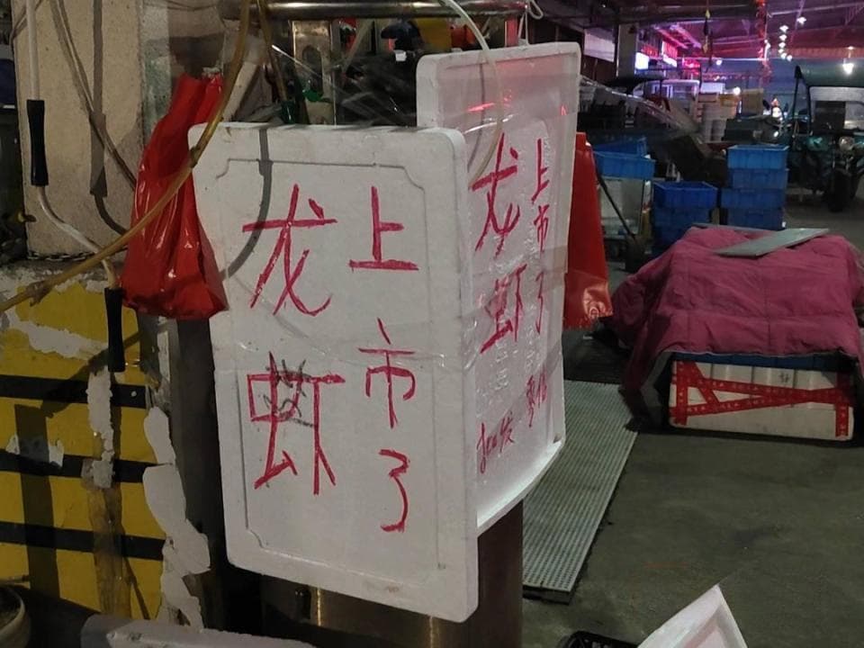 “餐桌流量王”小龙虾少量上市，按规格不同售价在20-60元/斤