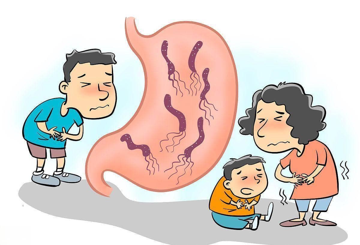 胃痛胃灼热？消化不良？小心幽门螺旋杆菌！远离3个传播途径！