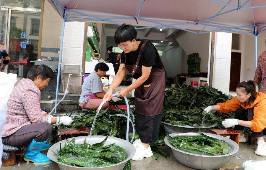 云南罗平：特色“灰粽”香飘四方