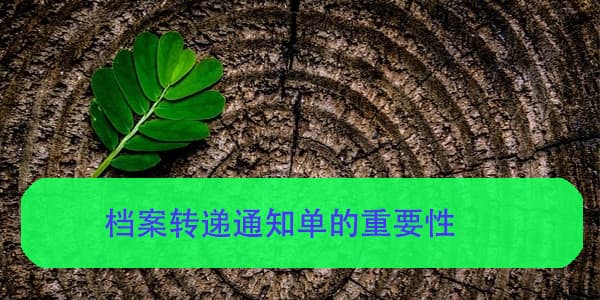 档案转递通知单的重要性，缺少它可能带来的后果