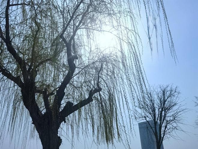 后天立春，记得“吃2样，做2事”，吉祥安康寓意好，老传统别丢！