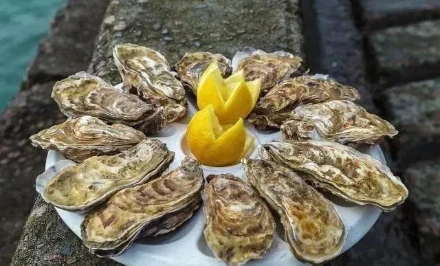 牡蛎与生蚝：同源异名的海鲜美味