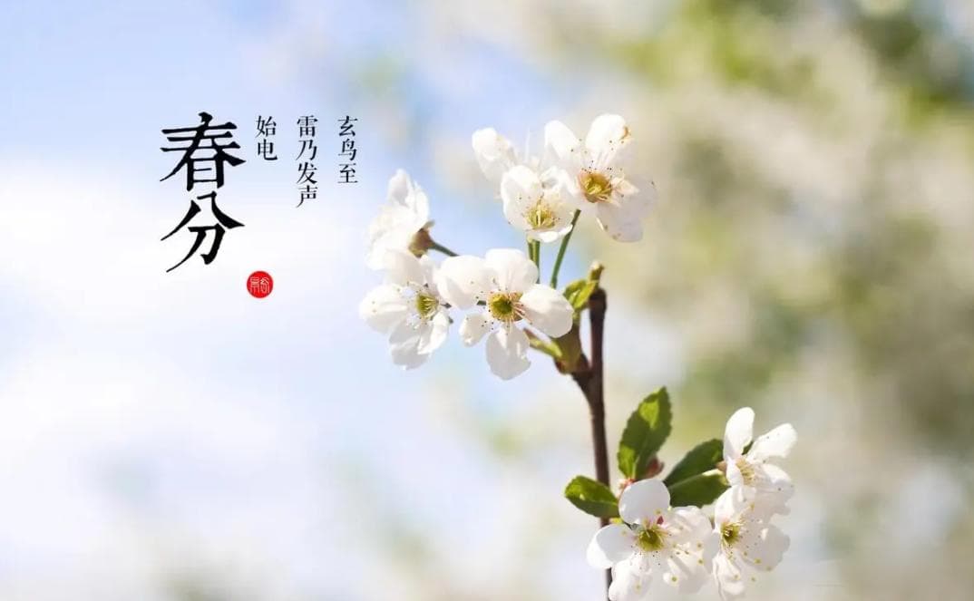 春分：古人的8种习俗，既有趣又有内涵！
