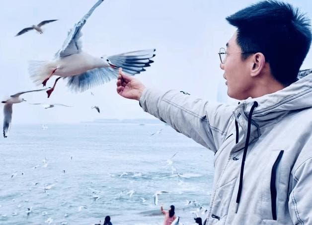 青岛冬日浪漫行：与海鸥共舞的奇妙之旅