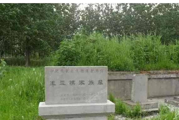 民国“杀手之王”王亚樵的传奇一生：杀敌无罪，抗日有功