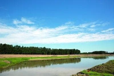 河道治理措施分析