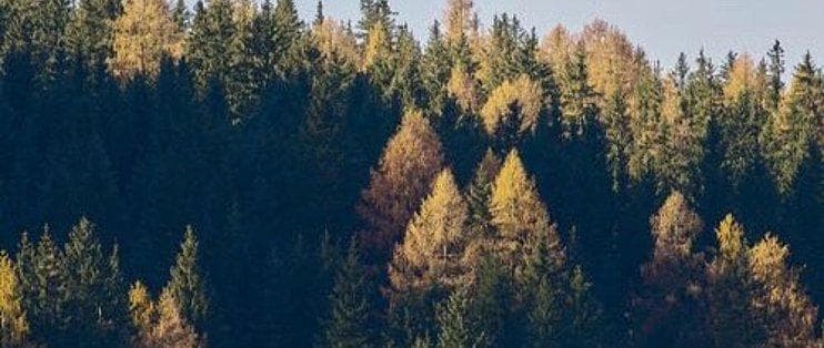 忧郁心理与个人成长的关系研究