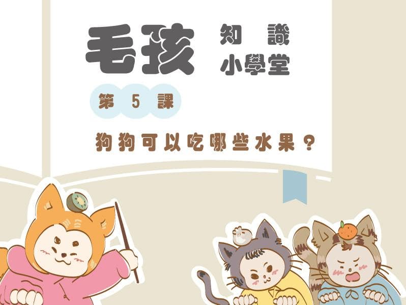 狗狗吃水果指南：6种安全选择与喂食要点