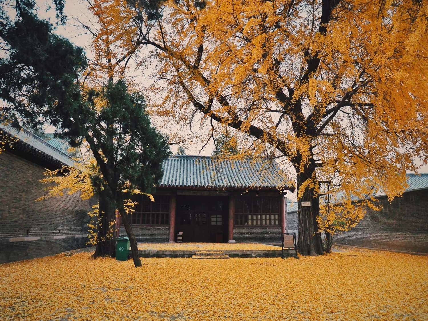 北京秋游打卡：恭王府-什刹海-后海