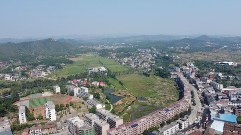 湖南柏林镇创新农业模式：3.4万亩稻油轮作助农增收