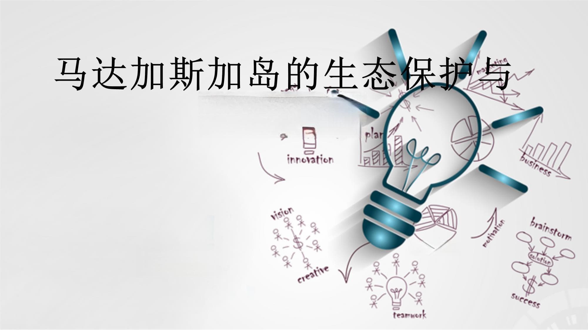 马达加斯加岛的生态保护与文化旅游
