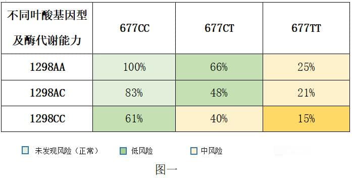 叶酸，你吃对了吗？