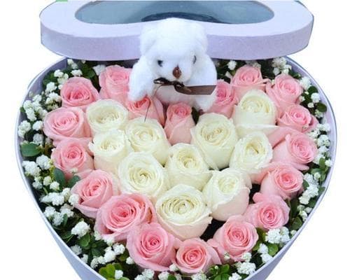 独特的白玫瑰花语有何不同？