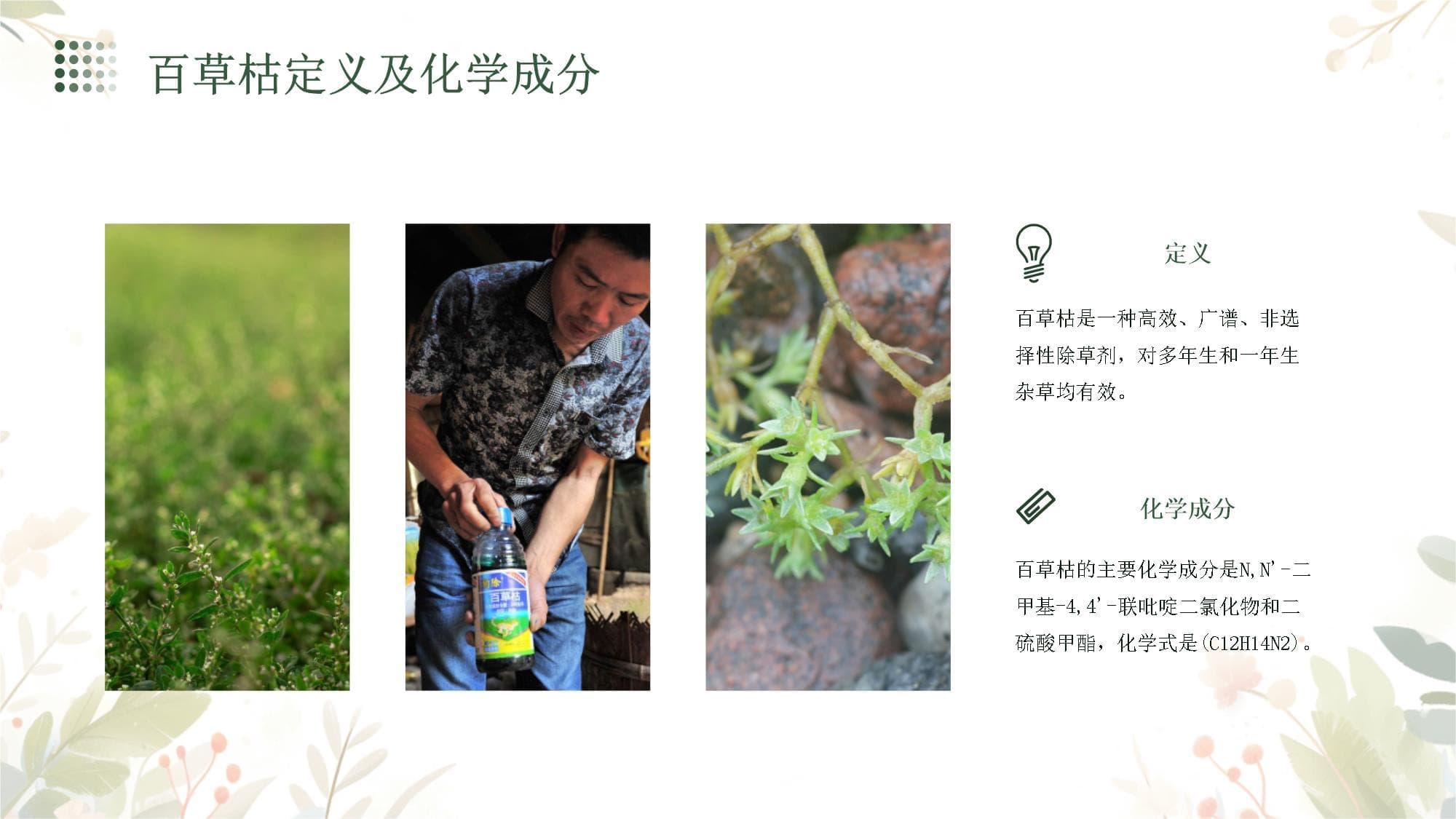 百草枯护理措施