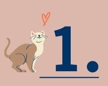 关于猫免疫接种，你应该了解的10件事