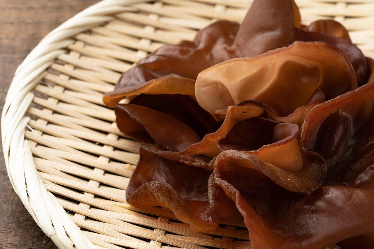 木耳料理指南：黑白木耳差異大！挑選、烹飪技巧及保存秘訣大揭密