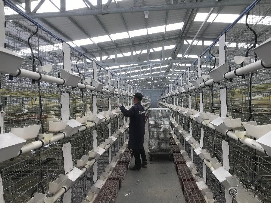 梅州兴宁市坭陂镇：推进全域土地综合整治 绘就乡村振兴新画卷