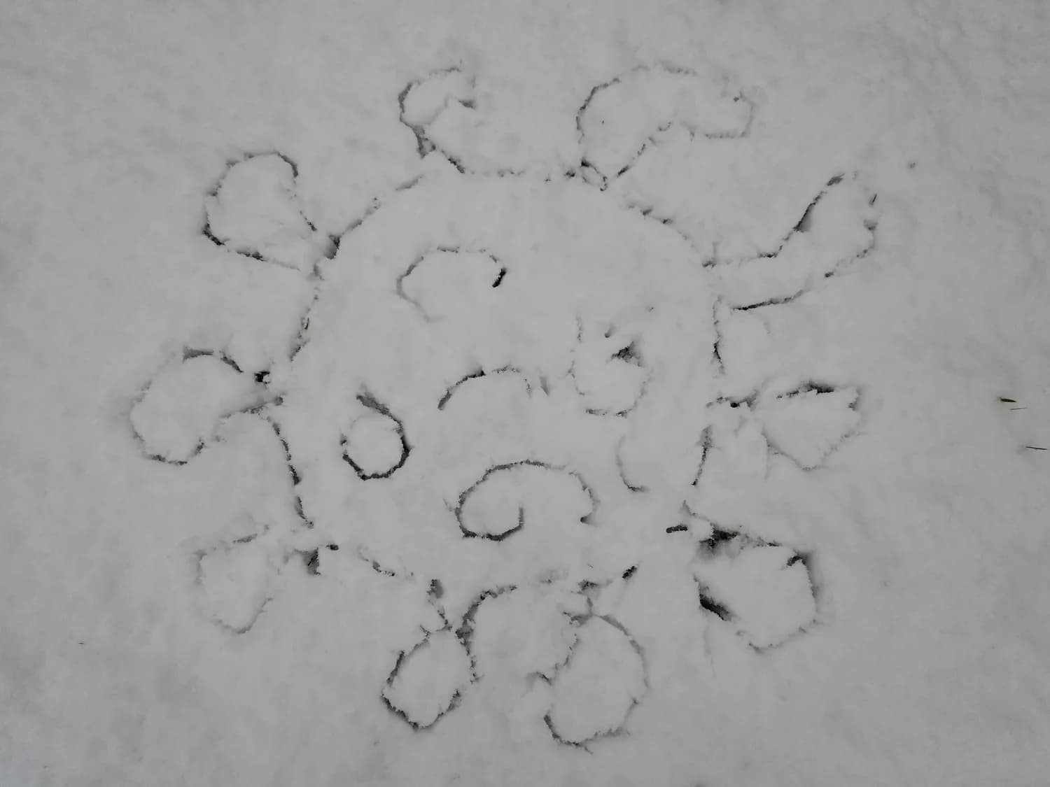 甲骨文里的“雪”：一个字背后的千年故事