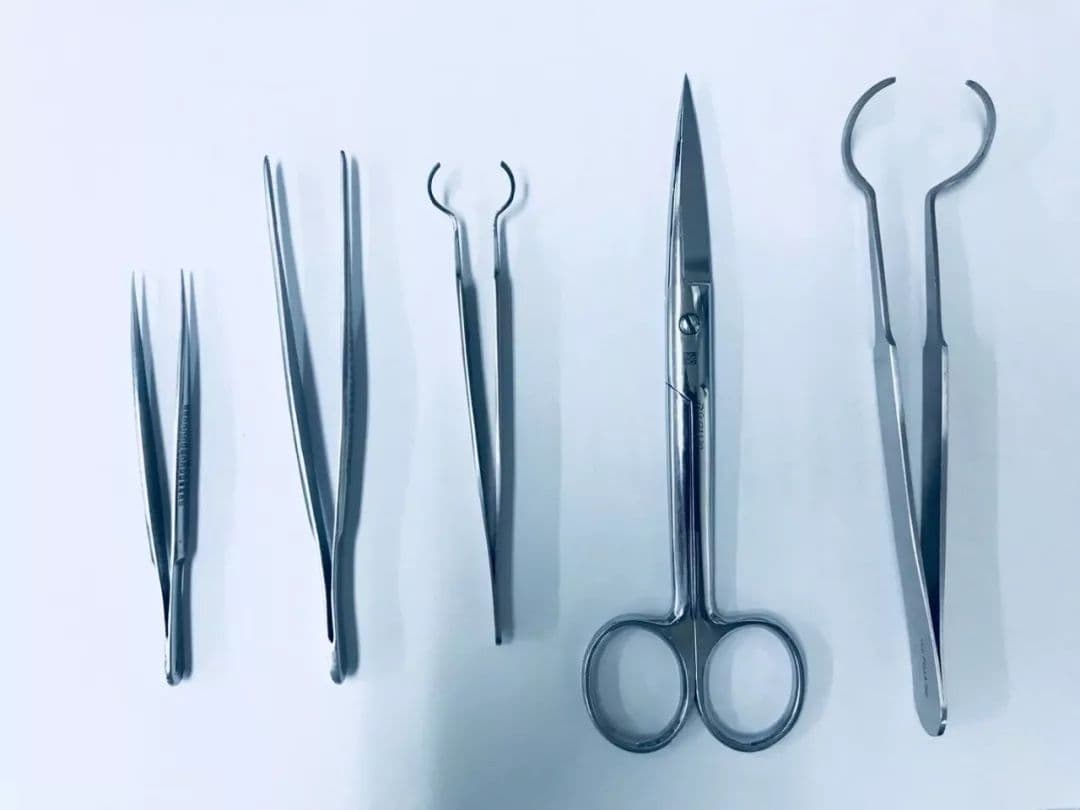 扫描电镜制样：保证扫描电镜样品清洁有多重要？